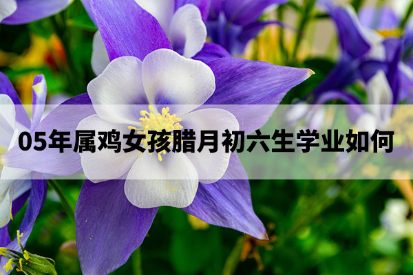 1675232090162602.jpg pexels-photo-1055756.jpg