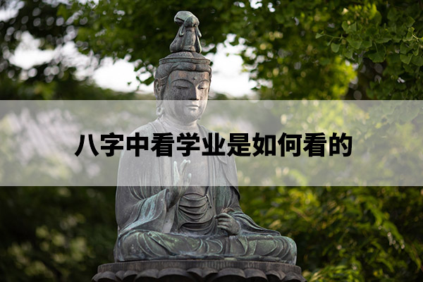 1675318951137471.jpg pexels-photo-1344472.jpg