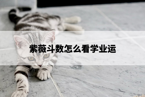 1675649559793069.jpg pexels-photo-479009.jpg