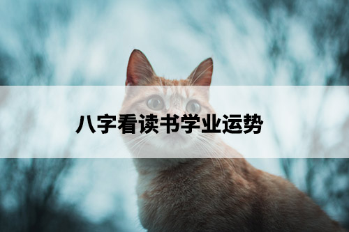 1675649648176857.jpg pexels-photo-1735057.jpg