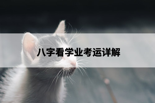 1675649710657669.jpg pexels-photo-1120049.jpg