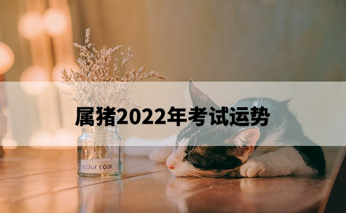 1675651926537589.jpg pexels-photo-1444492.jpg