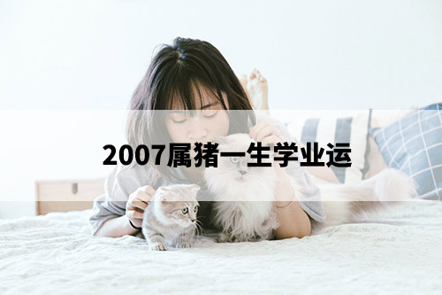 1675651988869658.jpg pexels-photo-2215599.jpg