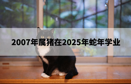 1675652722946549.jpg pexels-photo-1605481.jpg