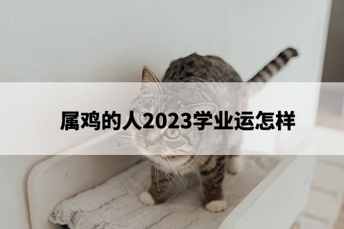 1675739074928759.jpg pexels-photo-7725983.jpg