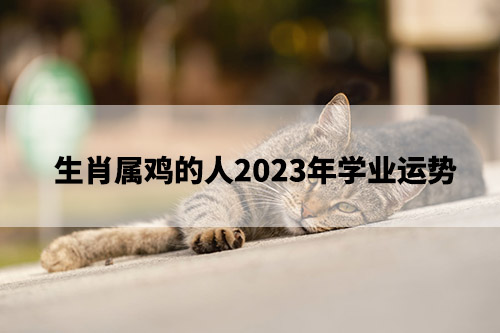 1675739138141878.jpg pexels-photo-14840583.jpg