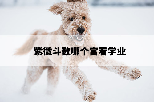 1675741829428553.jpg pexels-photo-15236077.jpg