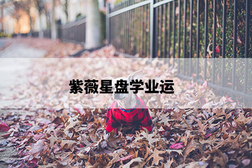 1675741891182631.jpg pexels-photo-15265083.jpg