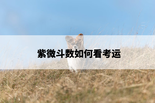 1675742014191611.jpg pexels-photo-15256561.jpg