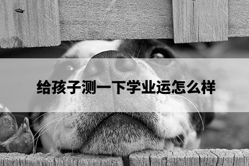 1675744648153585.jpg dog-cute-pet.jpg