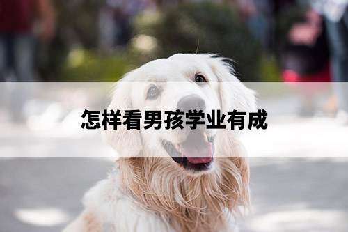 1675744782409071.jpg pexels-photo-1490908.jpg