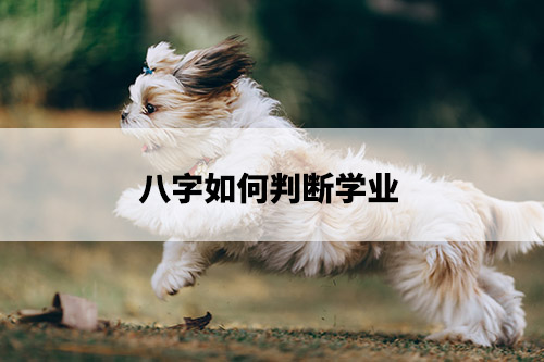 1675821301686406.jpg pexels-photo-3215610.jpg