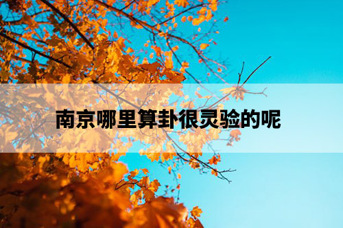tree-with-brown-fall-leaves-against-blue-sky-free-photo.jpg