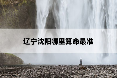 woman-standing-near-waterfalls-free-photo.jpg