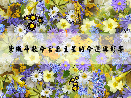 spring-flowers-flowers-collage-floral-68507.jpg