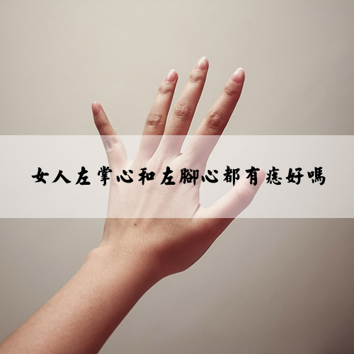 hand-357335_960_720.jpg