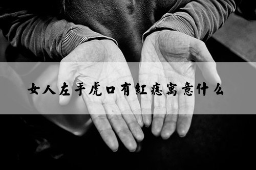 hand-2605655__340.jpg