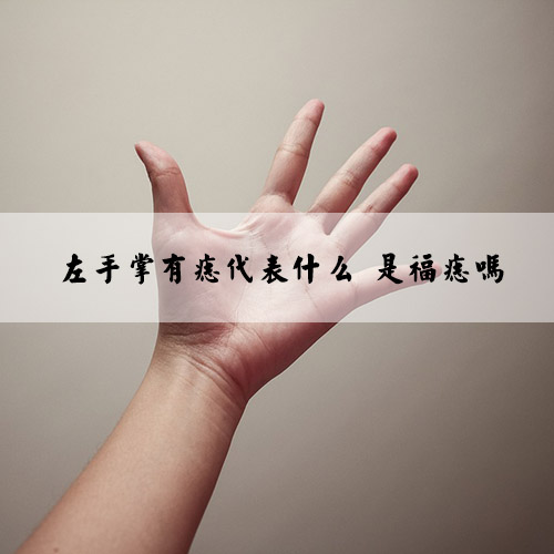 hand-357340_960_720.jpg