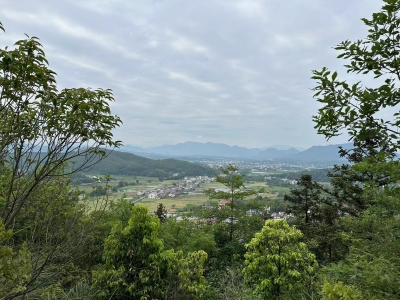 生命根基改运有什么用途 种生基对运势有何影响