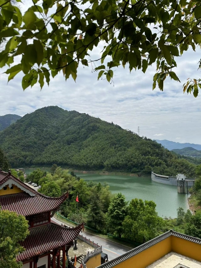 生命根基改运有什么用途 种生基对运势有何影响