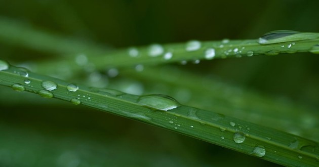 北京风水大师