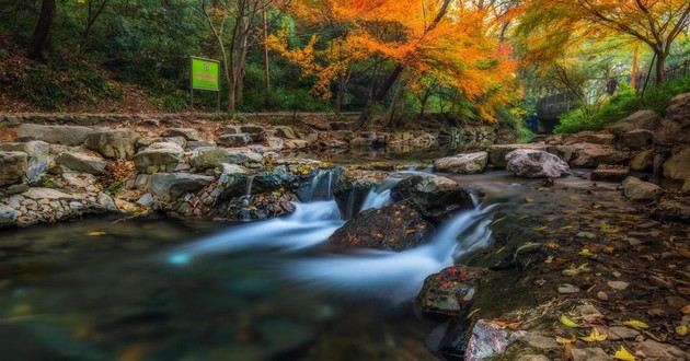 北京风水大师