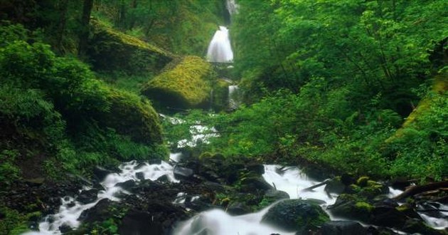 北京风水大师