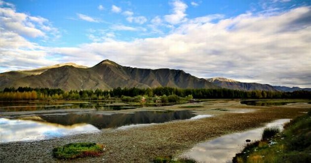 风水大师秦阳明