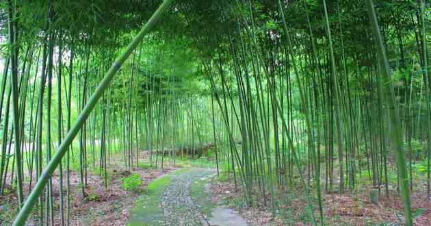 北京风水大师