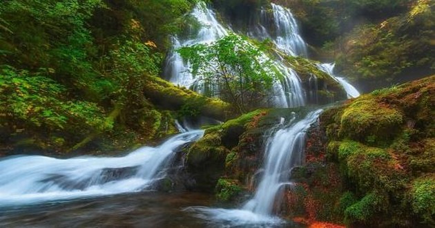 广东风水大师