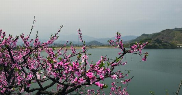 广东风水大师