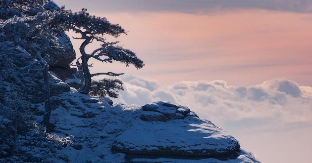 广东风水大师