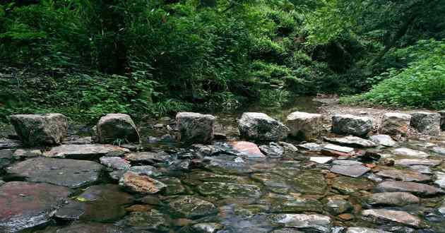 广东风水大师