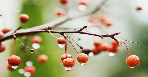 风水大师秦阳明