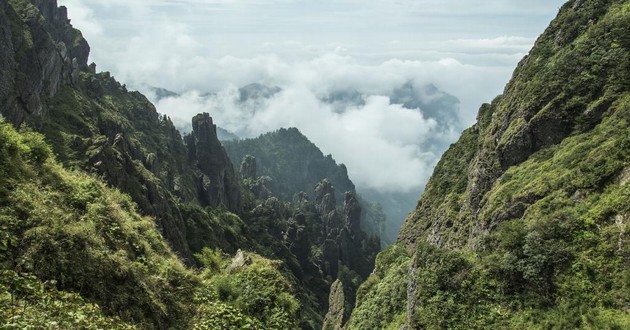 广东风水大师