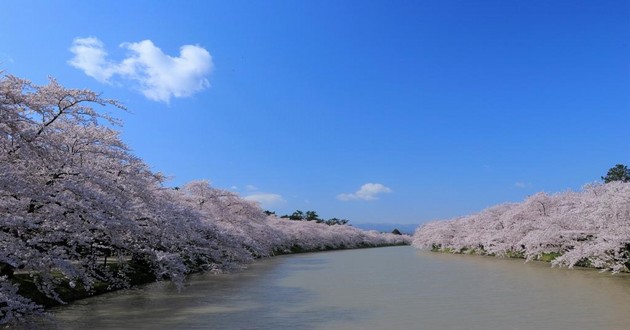 广东风水大师