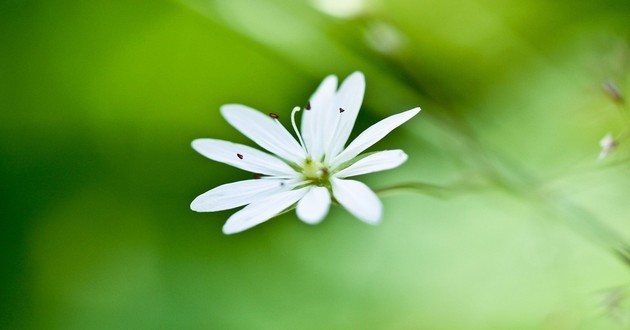 广东风水大师