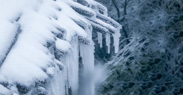 广东风水大师