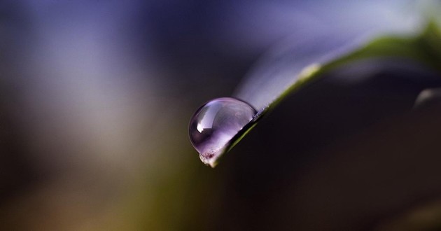 重庆风水大师