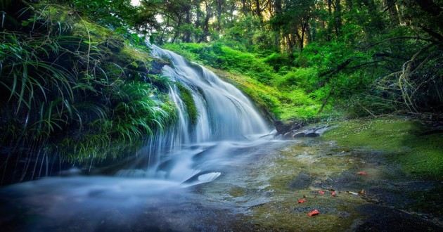 重庆风水大师