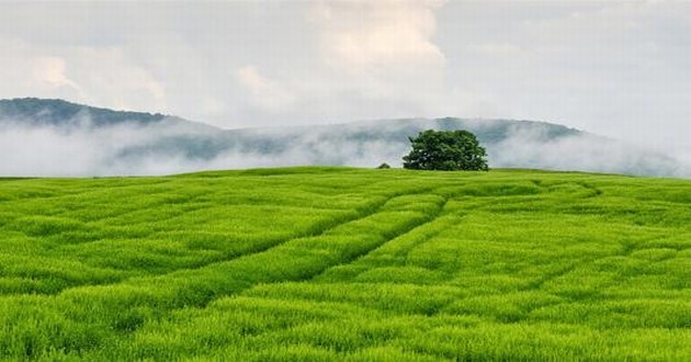 重庆风水大师