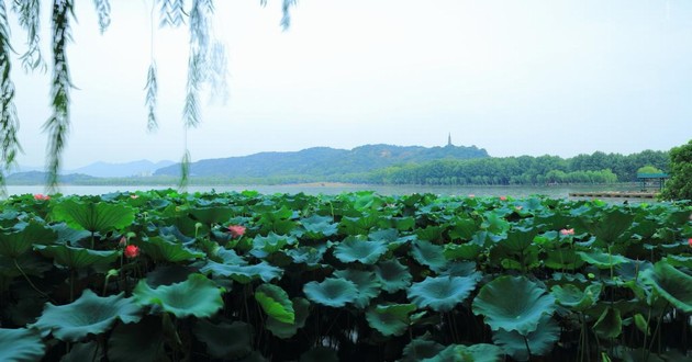 重庆风水大师