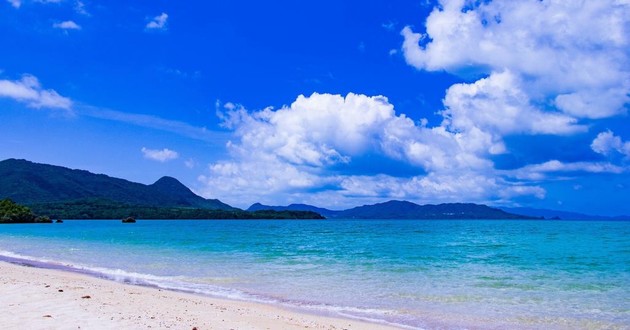 上海风水大师