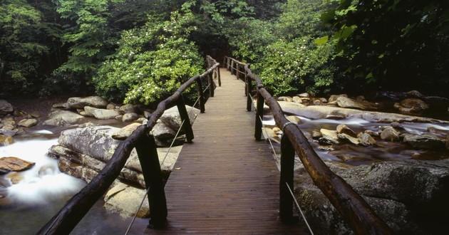 上海风水大师