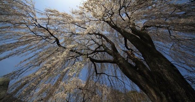 上海风水大师