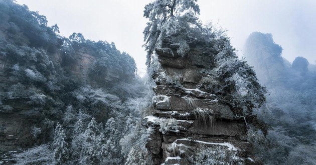 上海风水大师