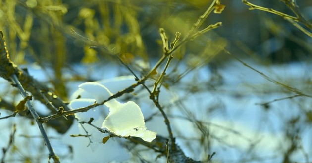 上海风水大师