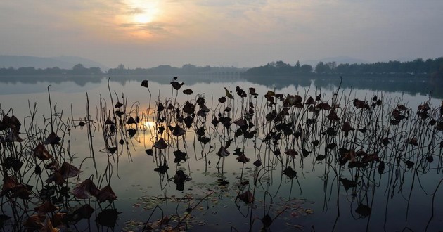 上海风水大师