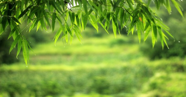 上海风水大师