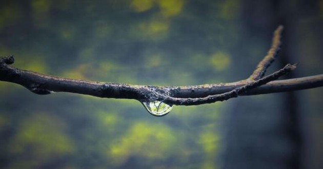 上海风水大师